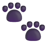 Paws Grooming